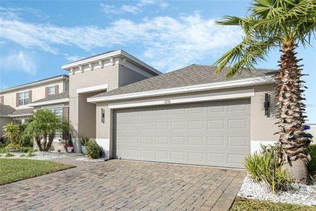 New construction Single-Family house 1276 Pando Loop, Orlando, FL 32824 - photo