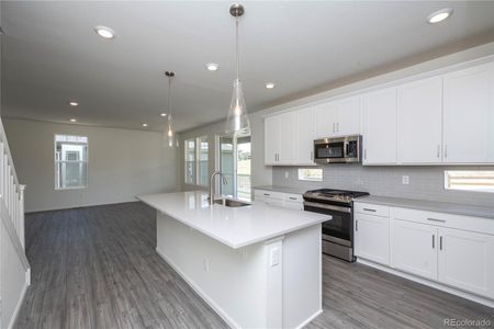 New construction Single-Family house 1787 Water Birch Way, Castle Rock, CO 80108 - photo 5 5