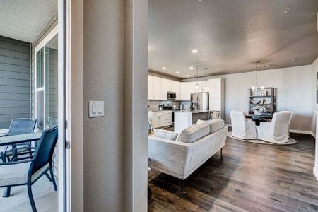 New construction Condo/Apt house 827 Schlagel Street, Fort Collins, CO 80524 - photo 16 16