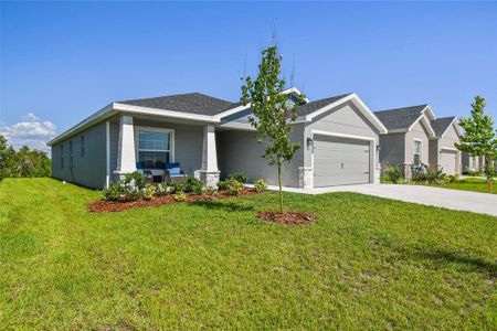 New construction Single-Family house 12350 Terrace Bluff Street, Riverview, FL 33579 - photo 5 5