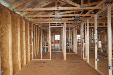 New construction Single-Family house 3024 King Fern Drive, Wimauma, FL 33598 Mira Lago- photo 23 23