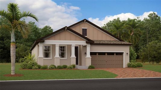 New construction Single-Family house 19460 Bristol Wood Place, Brooksville, FL 34601 Dawning- photo 0