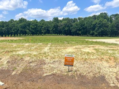 New construction Single-Family house 212 Oriental Street, Unit 175, Angier, NC 27501 The Bradley- photo 15 15