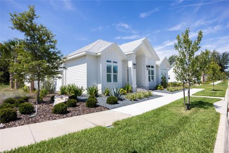 New construction Single-Family house 13217 Sw 11Th Road, Newberry, FL 32669 - photo 3 3