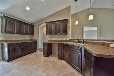 New construction Single-Family house Sw Place, Dunnellon, FL 34432 - photo 7 7