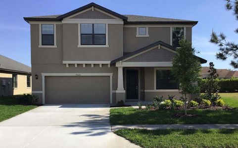 New construction Single-Family house Sandalwood, 8259 Tea Olive Terrace, Palmetto, FL 34221 - photo