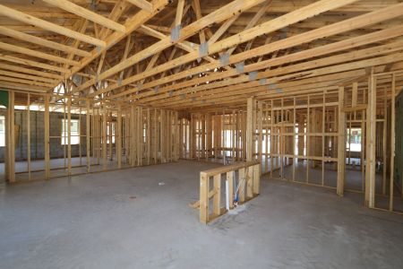 New construction Single-Family house 2473 Clary Sage Drive, Spring Hill, FL 34609 Corina II- photo 15 15