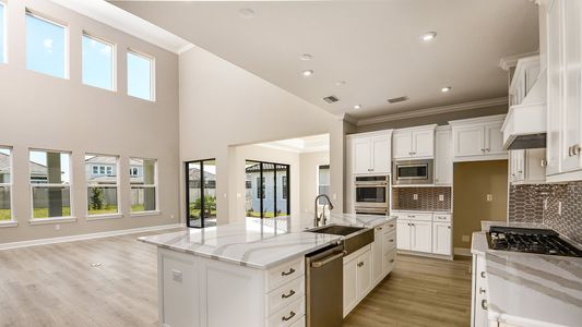 New construction Single-Family house 2526 Meander Cove, Wesley Chapel, FL 33543 - photo 24 24