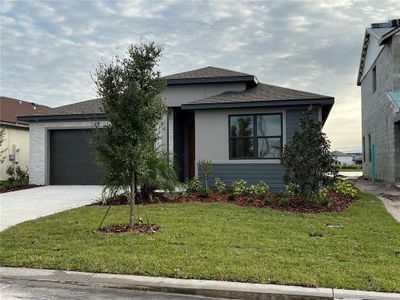 New construction Single-Family house 11818 Armada Way, Parrish, FL 34219 Plan 402- photo
