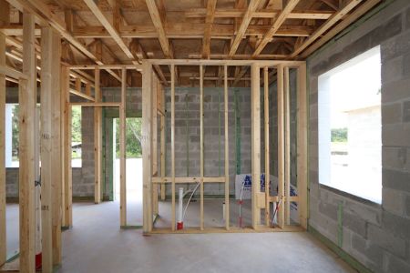 New construction Single-Family house 9611 Crescent Ray Drive, Wesley Chapel, FL 33545 Dali- photo 13 13
