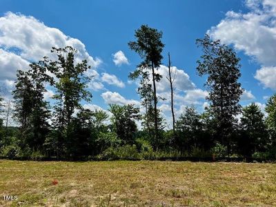 New construction Single-Family house 47 Silver Springs Way, Zebulon, NC 27597 - photo 8 8