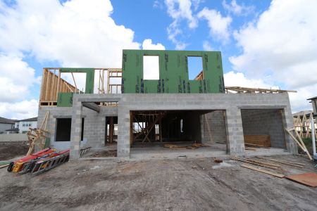 New construction Single-Family house 9489 Seagrass Port Pass, Wesley Chapel, FL 33545 Alenza- photo 17 17