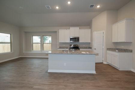 New construction Single-Family house 12901 Kinney Road, San Antonio, TX 78002 - photo 15 15