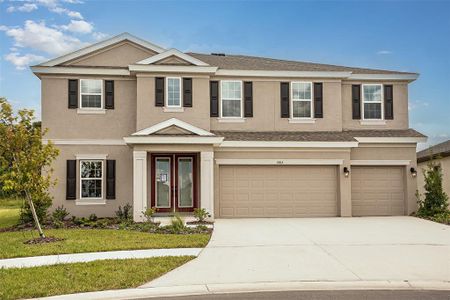 New construction Single-Family house 6027 Golden Nettle Drive, Apollo Beach, FL 33572 - photo 0