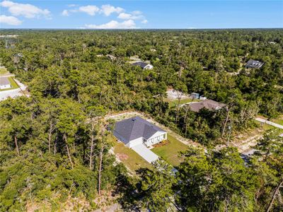 New construction Single-Family house 41900 Cassia Street, Eustis, FL 32736 - photo 41 41