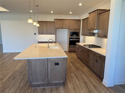 New construction Single-Family house 8344 Sw 98Th Avenue, Ocala, FL 34481 - photo 3 3