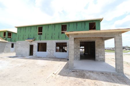 New construction Single-Family house 9611 Crescent Ray Drive, Wesley Chapel, FL 33545 Dali- photo 24 24