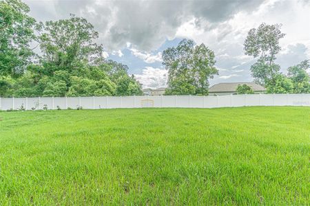 New construction Single-Family house 6355 Back Forty Loop, Zephyrhills, FL 33541 Boston II- photo 18 18