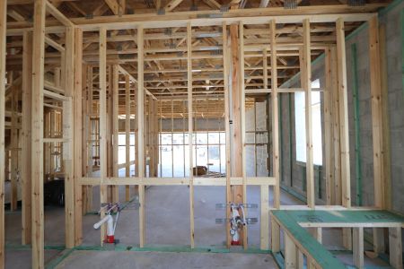 New construction Single-Family house 7702 Hemlock Seed Drive, Wesley Chapel, FL 33545 Corina II Bonus- photo 24 24