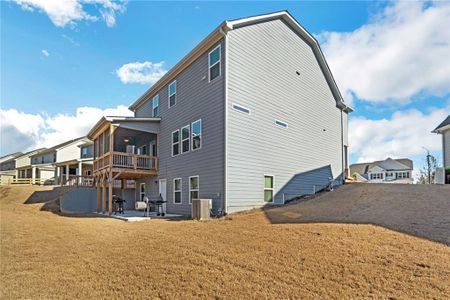 New construction Single-Family house 138 Daffodil Landing, Dallas, GA 30132 - photo 29 29