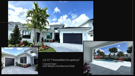 New construction Single-Family house 9156 Coral Isles Circle, Unit {Lot 15}, Palm Beach Gardens, FL 33412 - photo 9 9