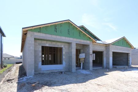 New construction Single-Family house 32568 Sapna Chime Drive, Wesley Chapel, FL 33545 Barcello- photo 15 15