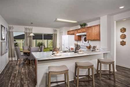 New construction Single-Family house Plan 1346, 10308 Honeysuckle Vine Circle, Riverview, FL 33578 - photo