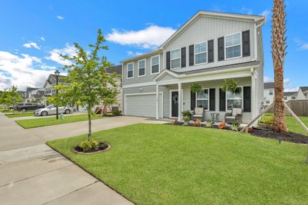 New construction Single-Family house 120 Percheron Drive, Summerville, SC 29486 - photo 0