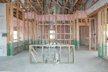 New construction Single-Family house 125 Calargy Drive, Floresville, TX 78114 Livingston- photo 6 6