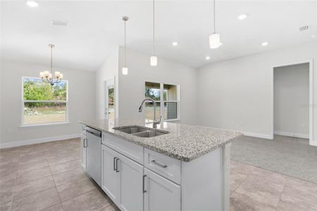 New construction Single-Family house 12691 Nw 162Nd Drive, Alachua, FL 32615 - photo 13 13