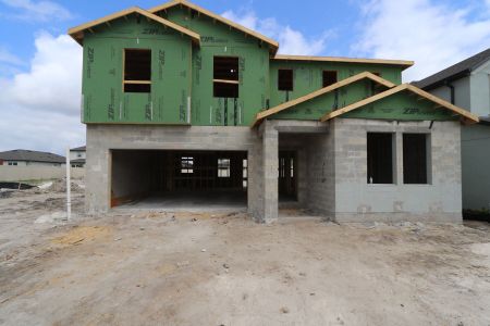 New construction Single-Family house 9358 Crescent Ray Drive, Wesley Chapel, FL 33545 Renau- photo 5 5