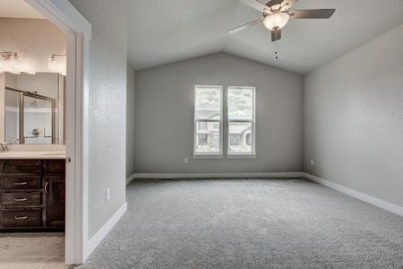 New construction Townhouse house 6248 Vernazza Way, Windsor, CO 80550 - photo 61 61