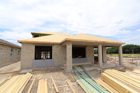 New construction Single-Family house 31835 Sapna Chime Drive, Wesley Chapel, FL 33545 Salinas- photo 4 4