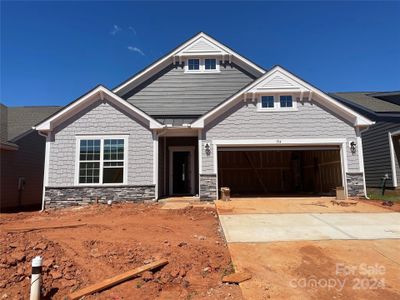New construction Single-Family house 154 Pampas Place, Unit BF5 #129, Statesville, NC 28625 - photo 17 17