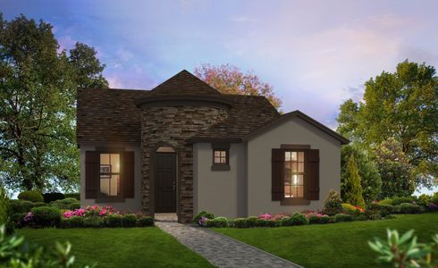 New construction Single-Family house Lily, 3616 Berry Briar Drive, Wesley Chapel, FL 33543 - photo