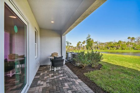 New construction Townhouse house 5646 Tripoli Drive, Palmetto, FL 34221 Alexander - Townhomes- photo 15 15