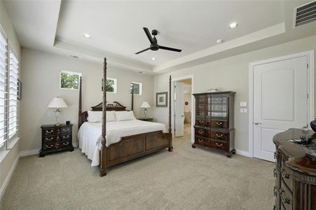 New construction Single-Family house 216 Lipizzan Ln, Driftwood, TX 78619 - photo 17 17