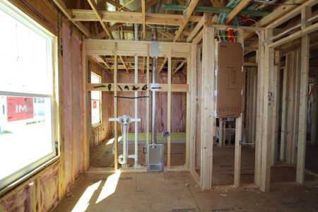 New construction Single-Family house 9358 Crescent Ray Drive, Wesley Chapel, FL 33545 Renau- photo 29 29