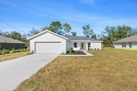 New construction Single-Family house 9167 Se 155Th Place, Summerfield, FL 34491 - photo 3 3