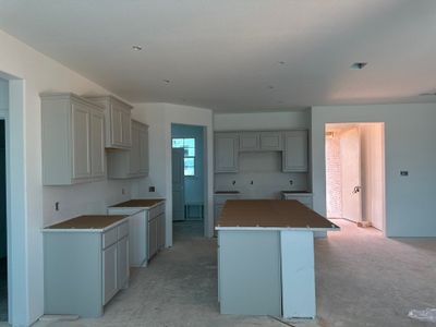 New construction Single-Family house 1232 Comal Lane, Springtown, TX 76082 Barnett- photo 21 21