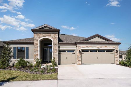 New construction Single-Family house 13112 Wellspring Drive, Lithia, FL 33547 Bayshore I- photo 0