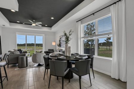 Seaire by Dream Finders Homes in Palmetto - photo 36 36