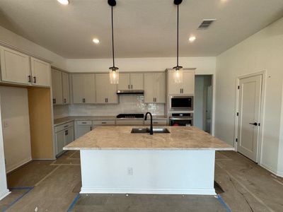 New construction Single-Family house 13700 Jon Ryan Rd, Manor, TX 78653 Premier Series - Juniper- photo 5 5
