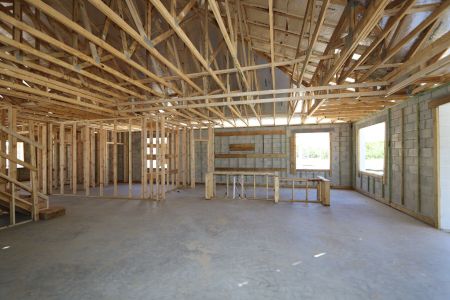 New construction Single-Family house 2483 Clary Sage Drive, Spring Hill, FL 34609 Corina  III Bonus- photo 18 18