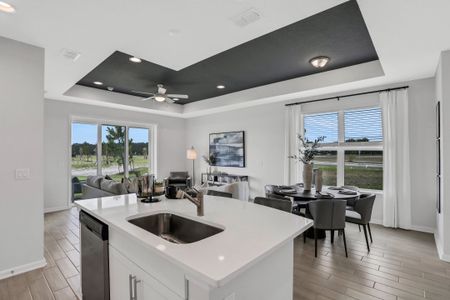 Seaire by Dream Finders Homes in Palmetto - photo 29 29