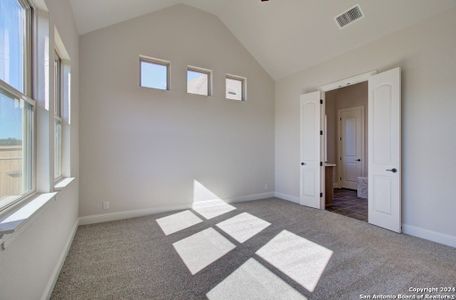New construction Single-Family house 8014 Chalk Trace, Schertz, TX 78154 Premier Series - Willow- photo 14 14