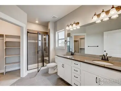 New construction Multi-Family house 975 Landmark Way, Unit #11, Fort Collins, CO 80524 Oxford- photo 8 8