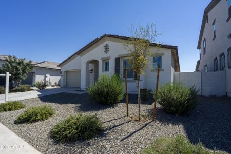 New construction Single-Family house 25799 South 226th Street, Queen Creek, AZ 85142 - photo 5 5
