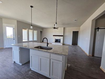 New construction Single-Family house 228 Meadow Vista Drive, New Fairview, TX 76078 Verbena- photo 6 6