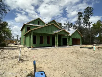 New construction Single-Family house 255 Pine Grove Point, Saint Augustine, FL 32092 Harper- photo 4 4